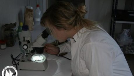 laboratory