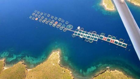 Aerial Aquaculture