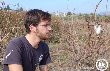 J_Wesecki_SAM_16_12_2015 (21)