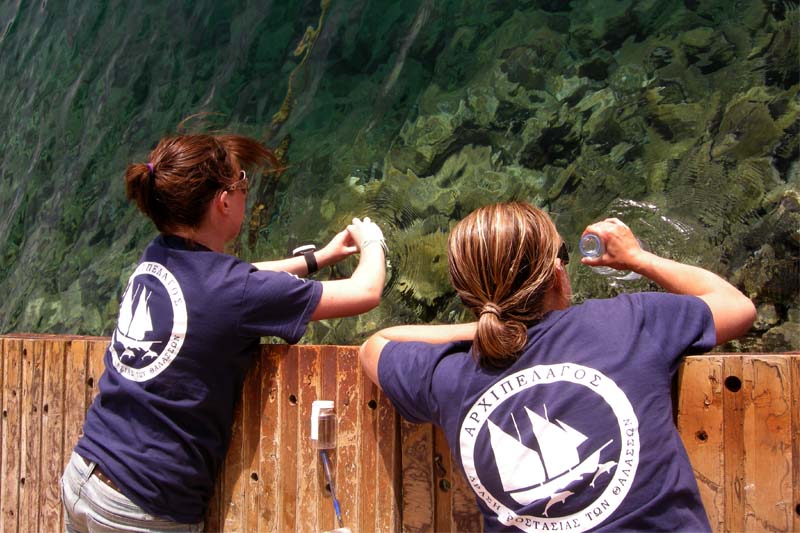 swimming-water-analysis