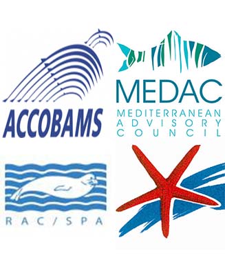 Συνεργάτες