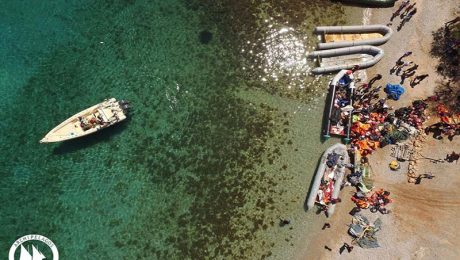 13221615_10153635811005878_2555535936884018016_n