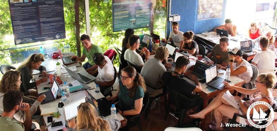 13533198_10153750281825878_7798181465413304915_n