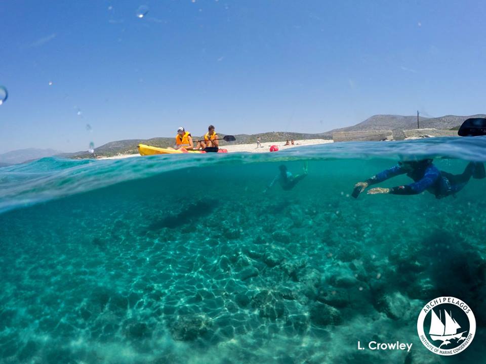 13533351_10153750281645878_1120426637446044154_n