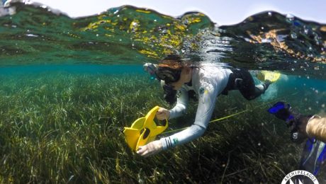 13567324_10153750281290878_4414919405305555865_n