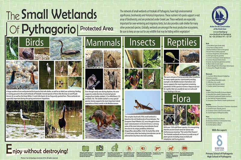 13567391_10153763401025878_3658828609391698951_n