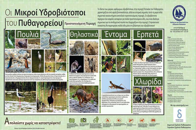 13607040_10153763398550878_3717902686714746753_n