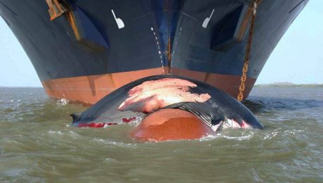 13690773_10153788866405878_6619816846754093955_n