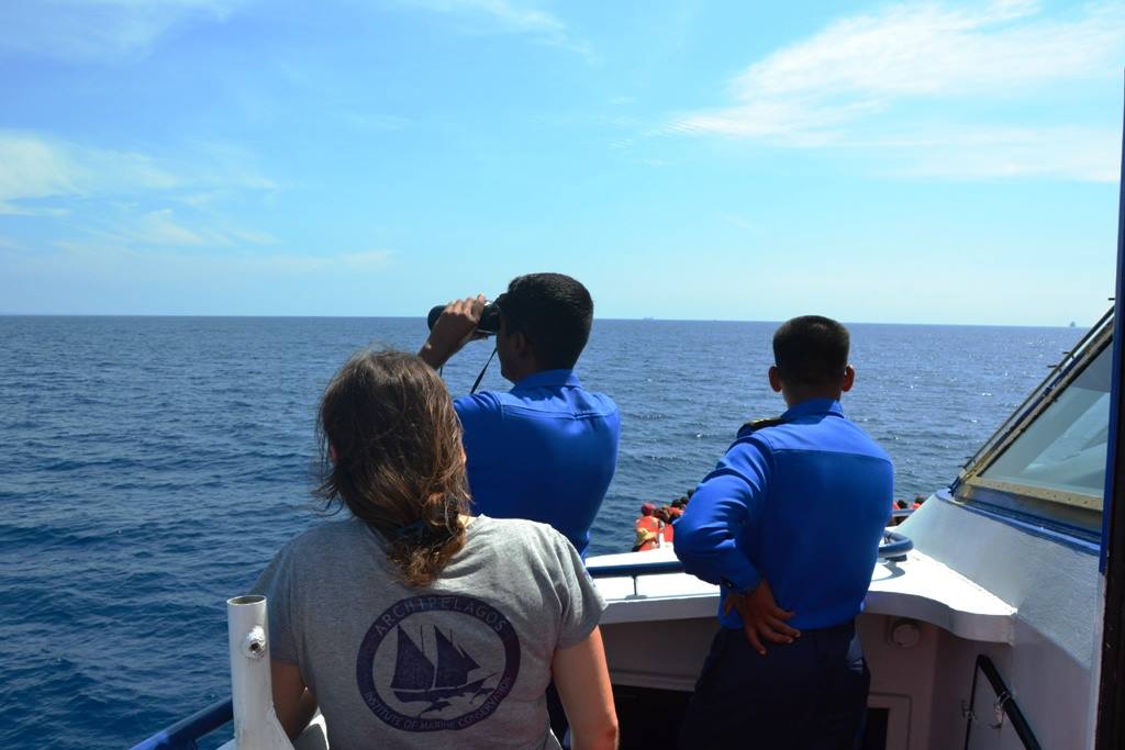 13725102_10153788866580878_6525256268778843086_o