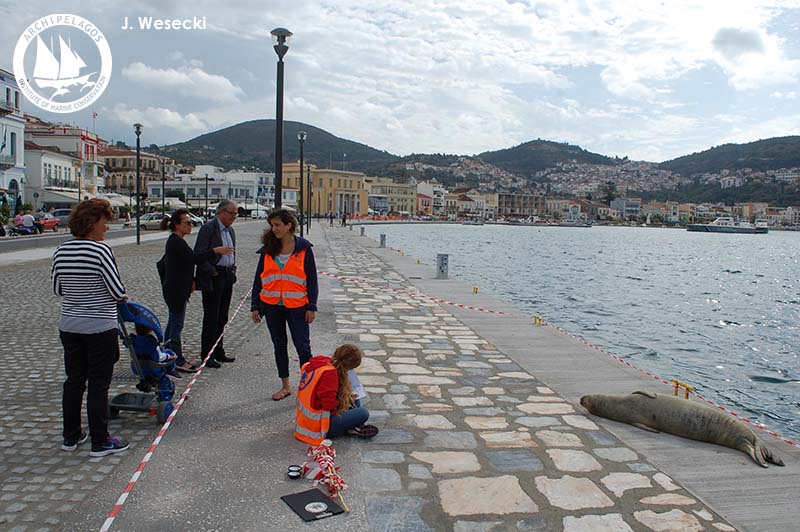 J_Wesecki_SAM_22_10_2015 (58)