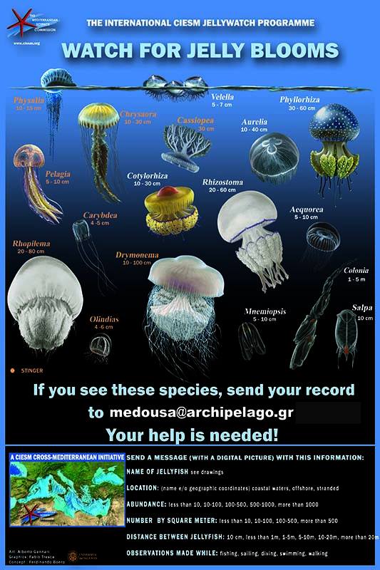 13935110_10153868328770878_4618813822950032759_n