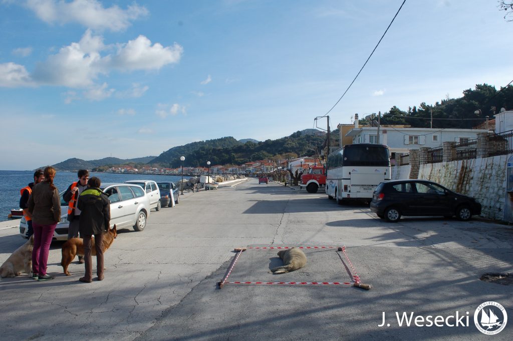 J_Wesecki_SAM_02_12_2015 (41)-2-2-2