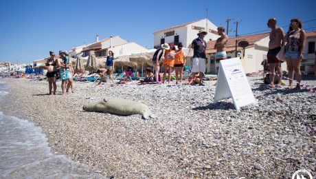 L_Carmona_SAM_18_08_2016