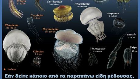 13882093_10153866133180878_3228261754084434360_n