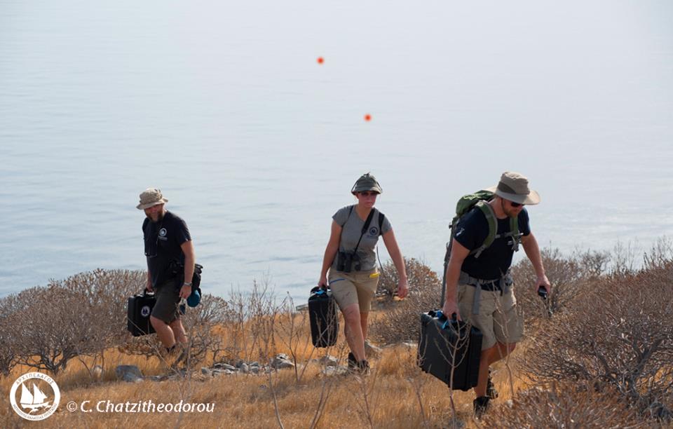 14390954_10153976983585878_8109895395603729105_n