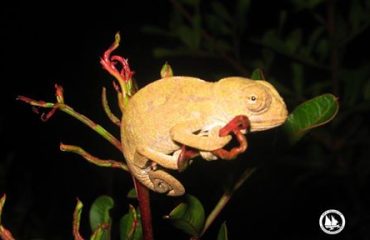 14671244_10154024003890878_1957560472719410994_n