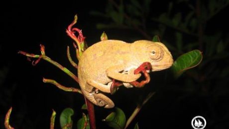 14671244_10154024003890878_1957560472719410994_n