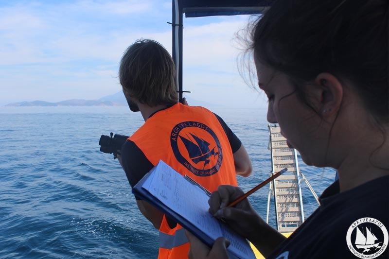 boat-survey-2-21_10_16