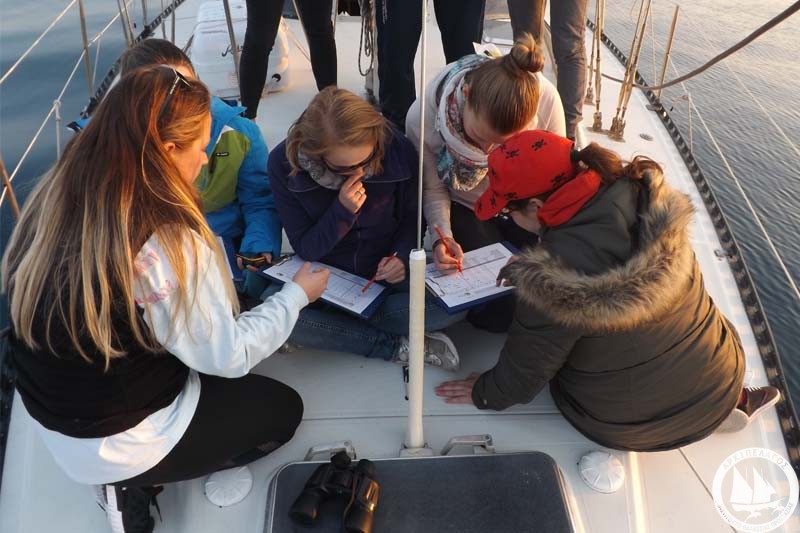 boat-survey-3-25_11_16