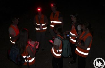 j_wesecki_jackal-survey