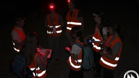 j_wesecki_jackal-survey