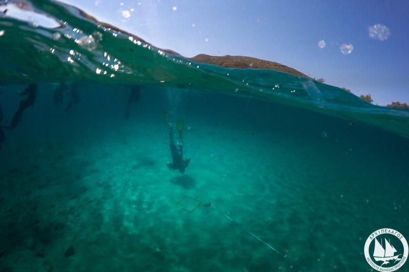 l_crowley_sam_11_07_2016-12