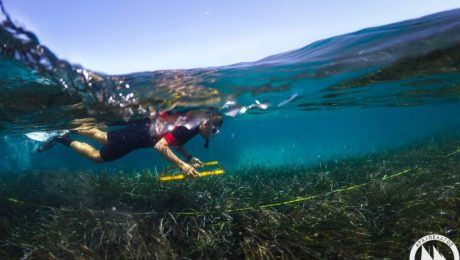 l_crowley_sam_17_06_2016-82