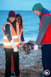 a_miliou_ire_30_11_2016-181-medium