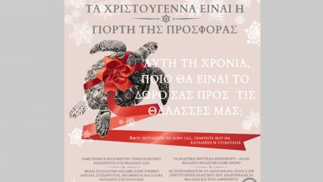 Christmas Card_site+