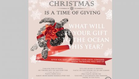 Christmas Card_site_greek