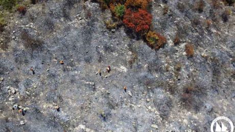 landcare-burned-site-monitoring