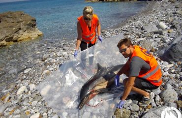 K_Delaveri_SAM_28_03_2016-(22)