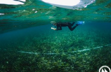 DCIM103GOPROG1860970.