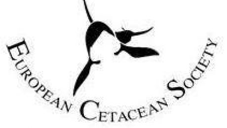 18556090_10154618597505878_1339942462901414260_n