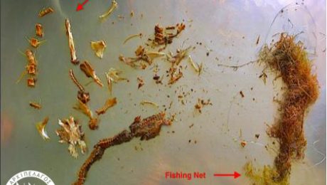 Microplastic-picturesRIGHT