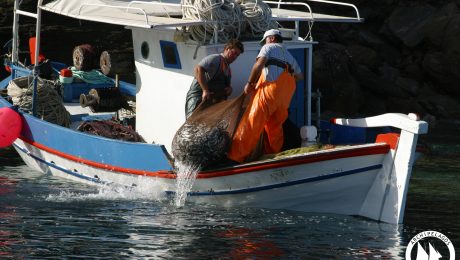 alieia me bitzotrata