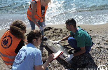 Picture5withlogocopyright