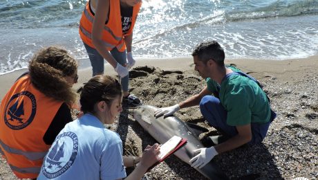 Picture5withlogocopyright