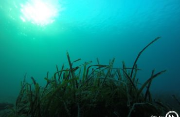 DCIM100GOPROGOPR0896.