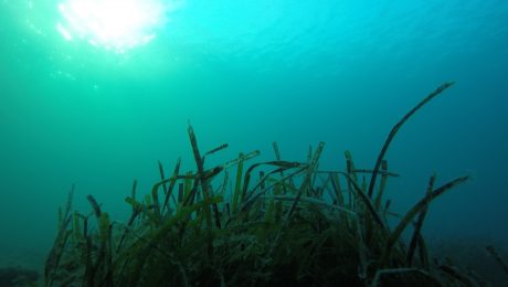 DCIM100GOPROGOPR0896.