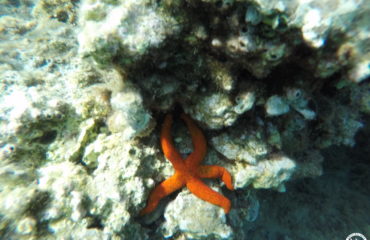 DCIM100GOPROGOPR0922.