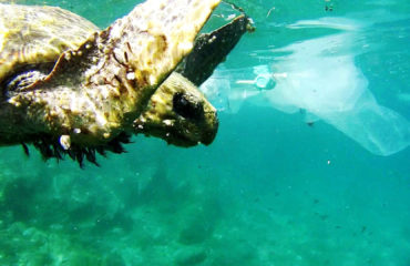 LOGO59D2054B31992C3187555BD938B9D9A6