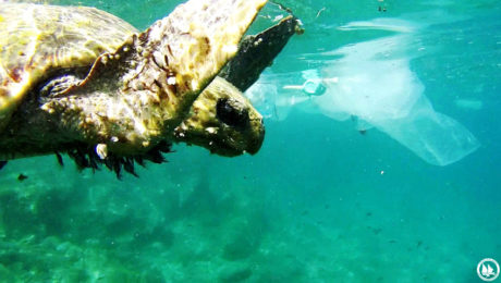 LOGO59D2054B31992C3187555BD938B9D9A6