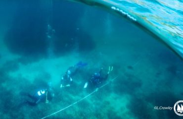 28619044_10155383260065878_7439067467941873866_o