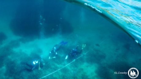 28619044_10155383260065878_7439067467941873866_o