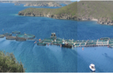 IMG_06032018_154359_0