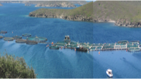 IMG_06032018_154359_0