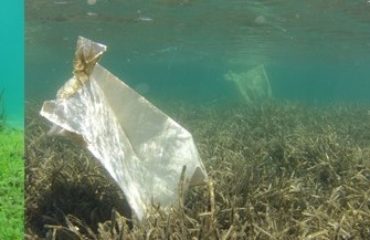 Vouli Archipelagos March 2