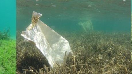 Vouli Archipelagos March 2