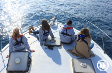 feature image article 3